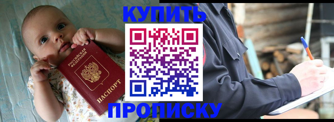 прописка поиск в Звенигово